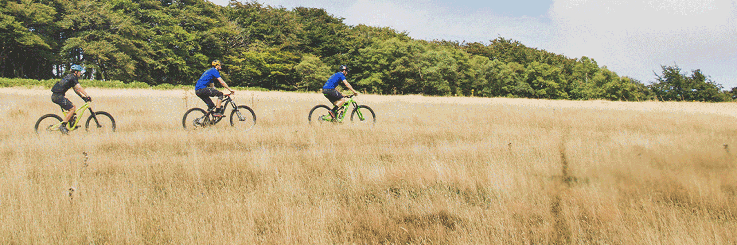 performance bikes